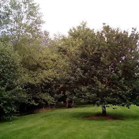 Ballylickey Woodland Vegetarian Holiday home *