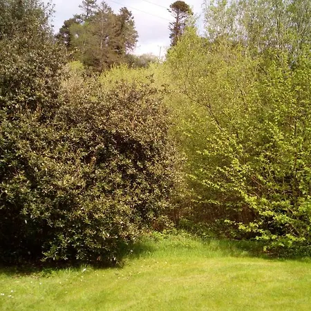 Ballylickey Woodland Vegetarian *